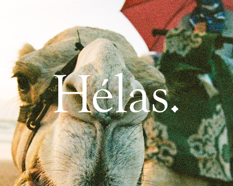 HELAS | SPRING 2024 Available in Store on March 2nd (Sat)