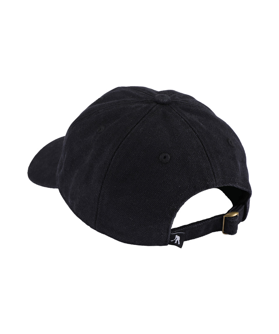 PASS~PORT - Solid Leagues Cap